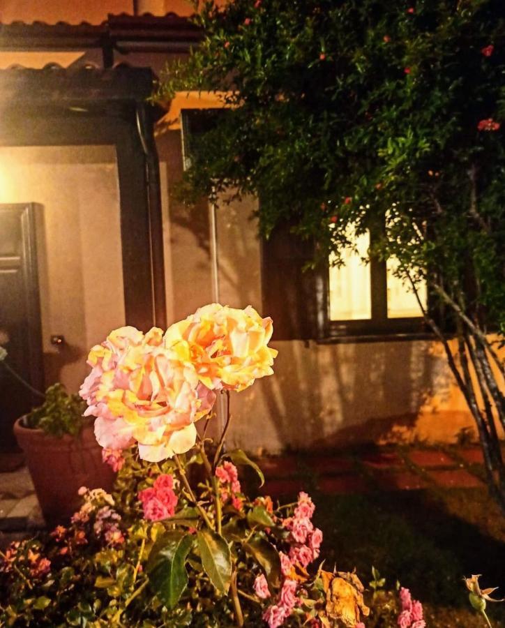 La Quercia Di Massena Couette-café Lauria Inferiore